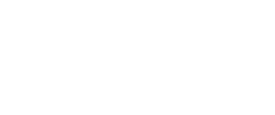 Spotika logo